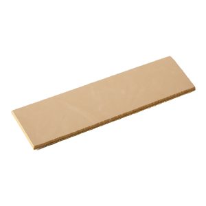 Toe Guard